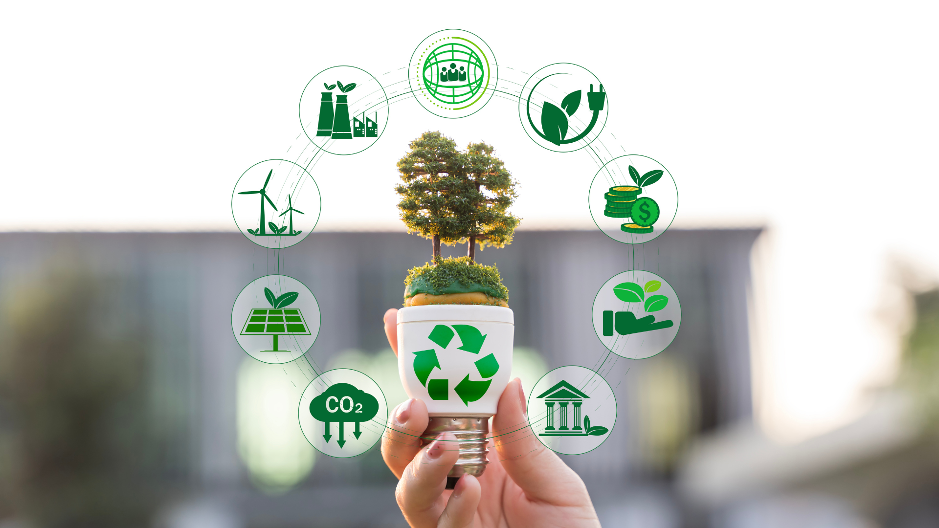 sustainable resort